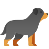 罗威纳犬 icon