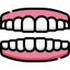 Denture icon