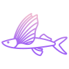 Flying  Fish icon