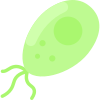 Bacteria icon