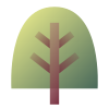 Arbre à feuilles caduques icon