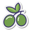 Aceituna icon