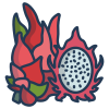 Dragon Fruit icon