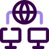 Local Network icon