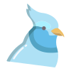 Bird icon