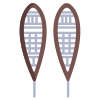 Snowshoes icon