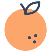 Orange icon