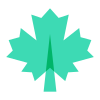 Maple Leaf icon