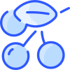 Berries icon