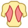 Muscoli della schiena icon