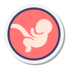 embrión icon