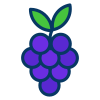 Grapes icon