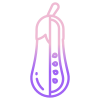 Eggplant icon