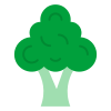 Brocoli icon