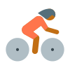 Cyclist Skin Type 4 icon