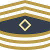 Первый сержант Армии США icon
