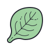 espinaca icon