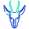 Springbok icon