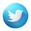 Twitter cerchiato icon