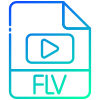 FLV icon