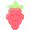 Raspberry icon