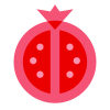 石榴 icon