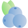 Blue berry icon
