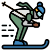 Ski icon