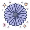 Aster Flower icon
