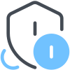 Shield Money icon
