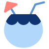 Coconut drink icon