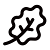 Дубовый лист icon