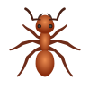 Ant icon