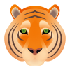 Морда тигра icon