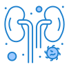 Kidneys icon