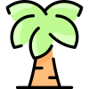 棕榈 icon