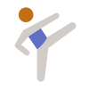 taekwondo-peau-type-4 icon