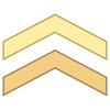 Chevron icon