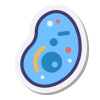 Células eucariotas icon