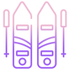 Ski Poles icon