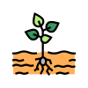 Growing Plant icon