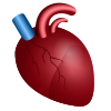 coeur anatomique icon