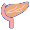 Pancreas icon