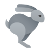Running Rabbit icon
