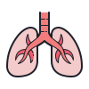 肺 icon