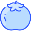 Tomato icon