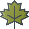 Maple Leaf icon