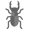 锹虫 icon