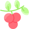 Cranberry icon