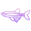 Zebra Danio Fish icon